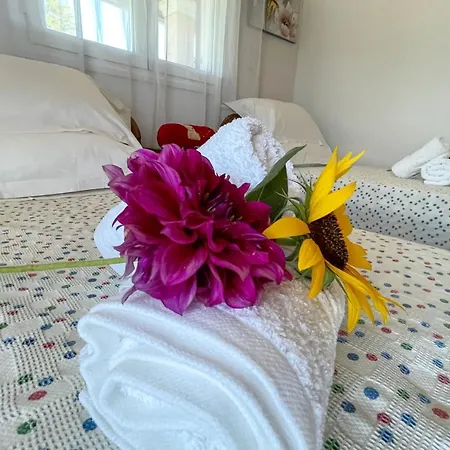 Vicky Corfu Holiday home *